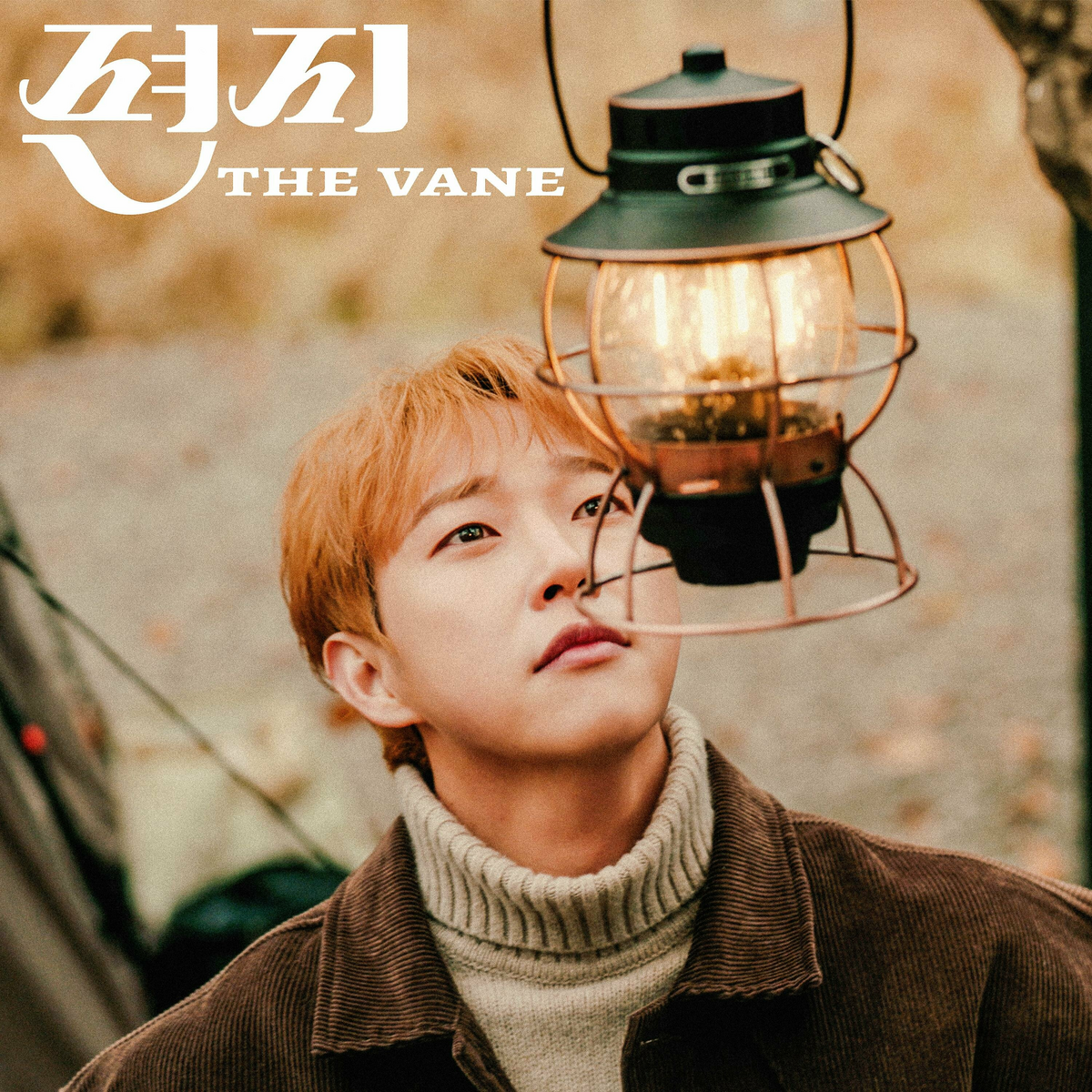 Image Cover